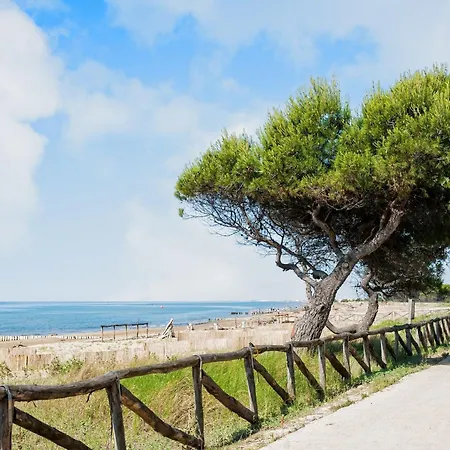 Modern With Balcony Apartamento *